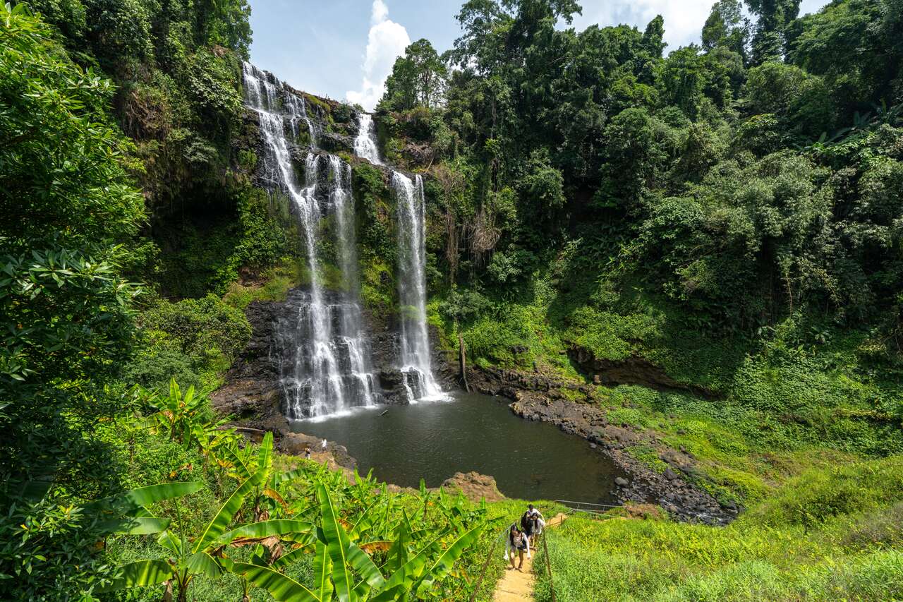 Chase waterfalls and coffee dreams in southern Laos